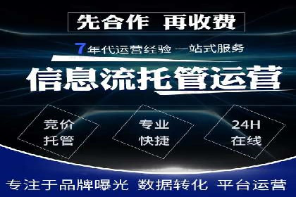 网络推广中的竞价广告：成功案例解析